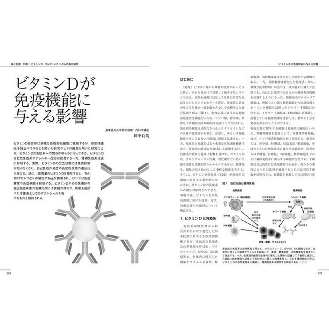 食と医療　学術誌　Ｖｏｌ．５（２０１８ＳＰＲＩＮＧ－ＳＵＭＭＥＲ）「特集ビタミンＤ－次々と明らかになるその未知の力」