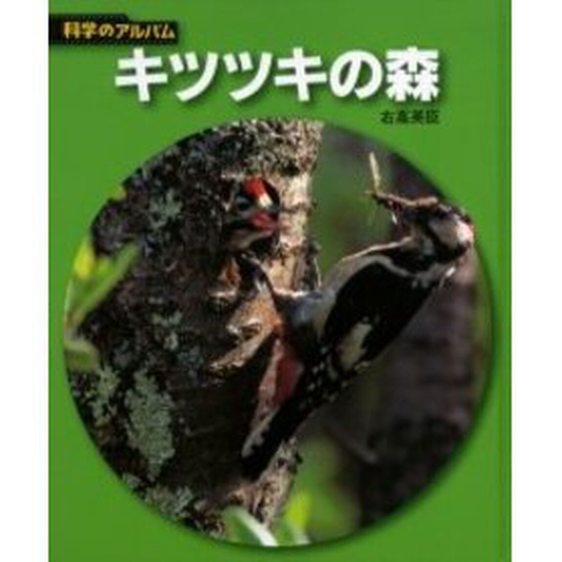キツツキの森　新装版