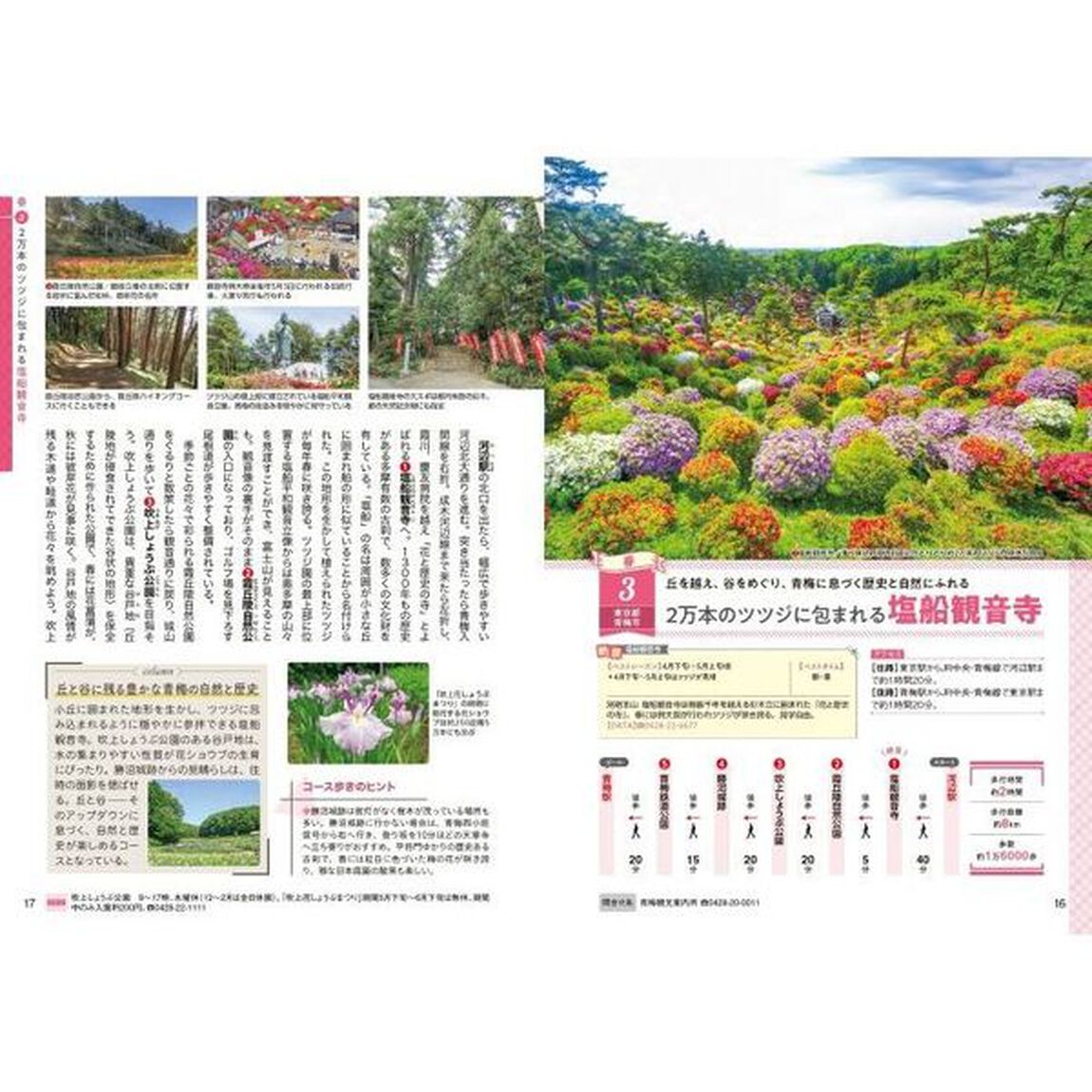 日帰り絶景ウォーキング関東周辺　歩いて楽しい！春夏秋冬の４５コース