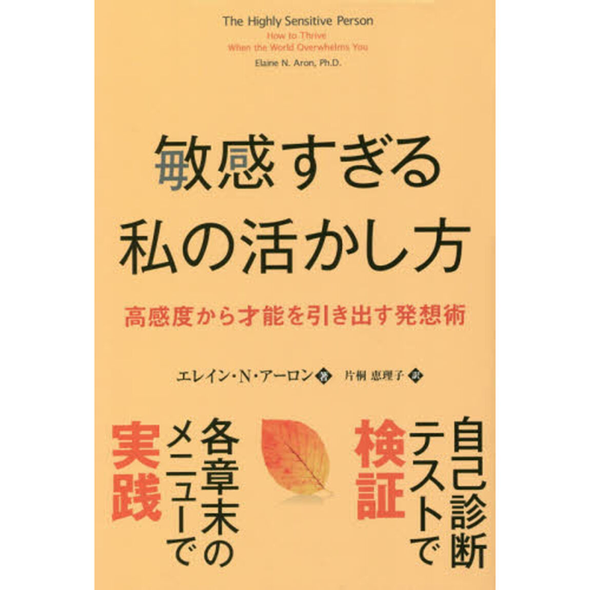 敏感すぎる私の活かし方　高感度から才能を引き出す発想術