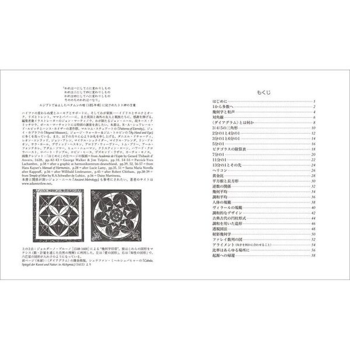 〈ダイアグラム〉の不思議　半対角線が創り出す驚きの幾何学