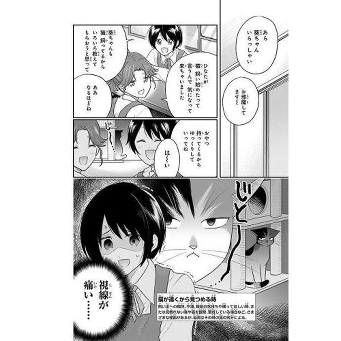 はたらく細胞猫　２