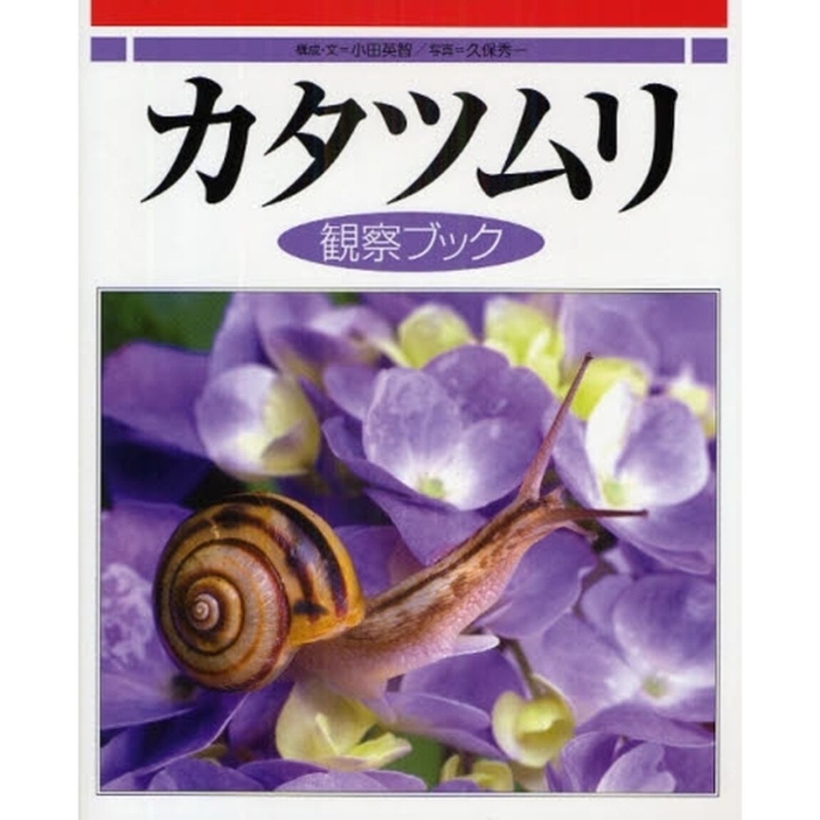 カタツムリ観察ブック