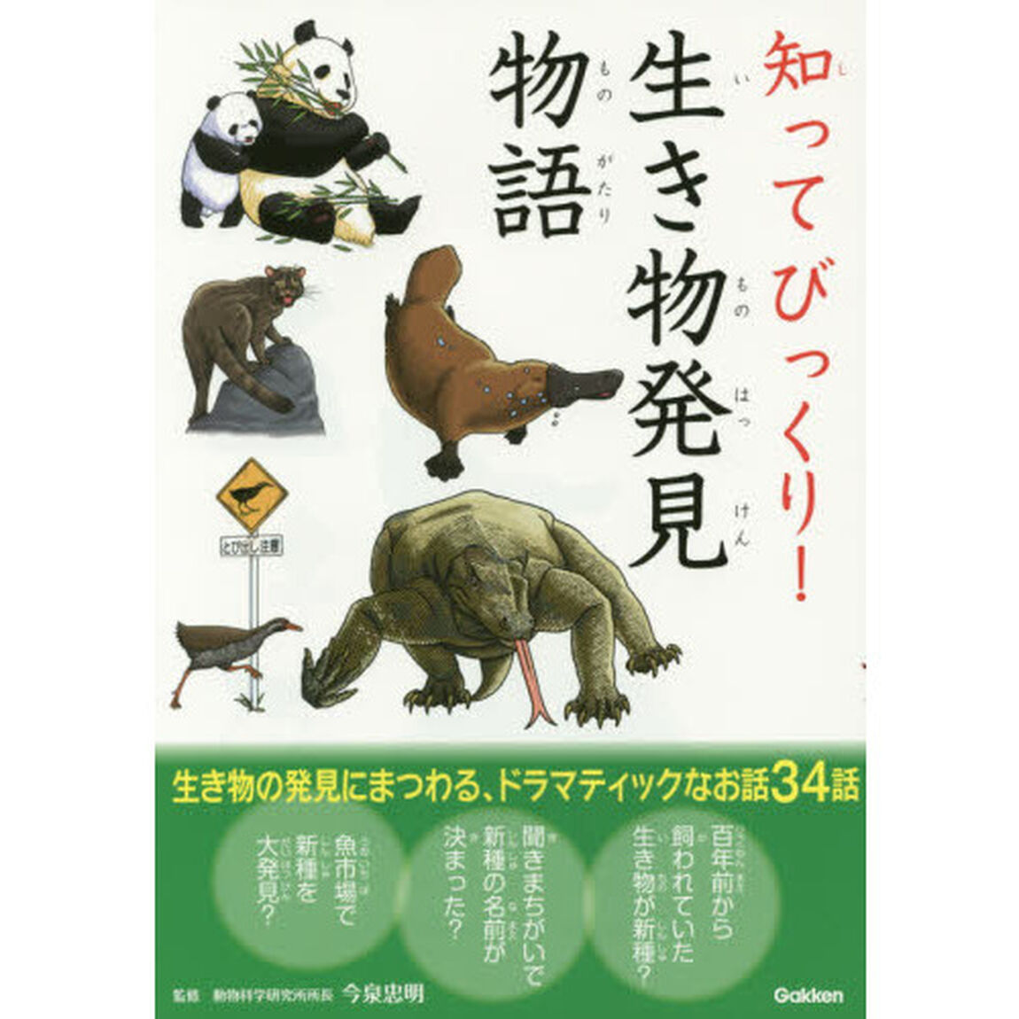 知ってびっくり！生き物発見物語
