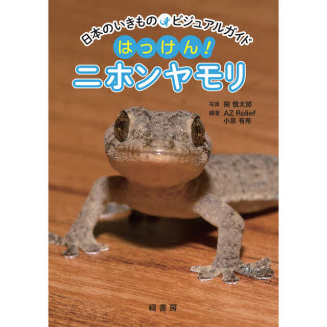 はっけん！ニホンヤモリ