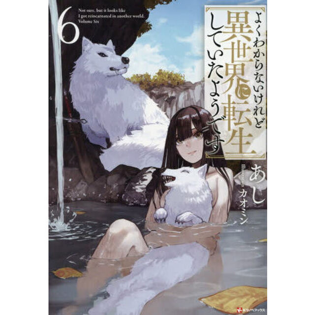 よくわからないけれど異世界に転生していたようです 6