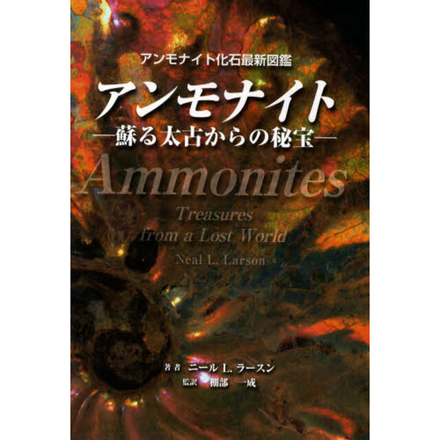 アンモナイト　アンモナイト化石最新図鑑　蘇る太古からの秘宝