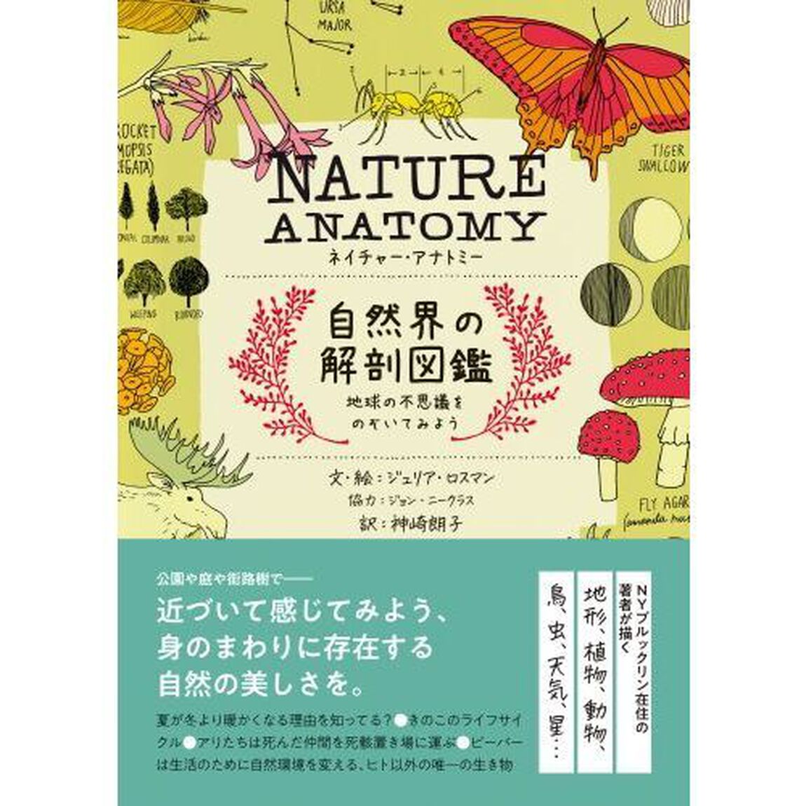 ＮＡＴＵＲＥ　ＡＮＡＴＯＭＹ自然界の解剖図鑑　地球の不思議をのぞいてみよう