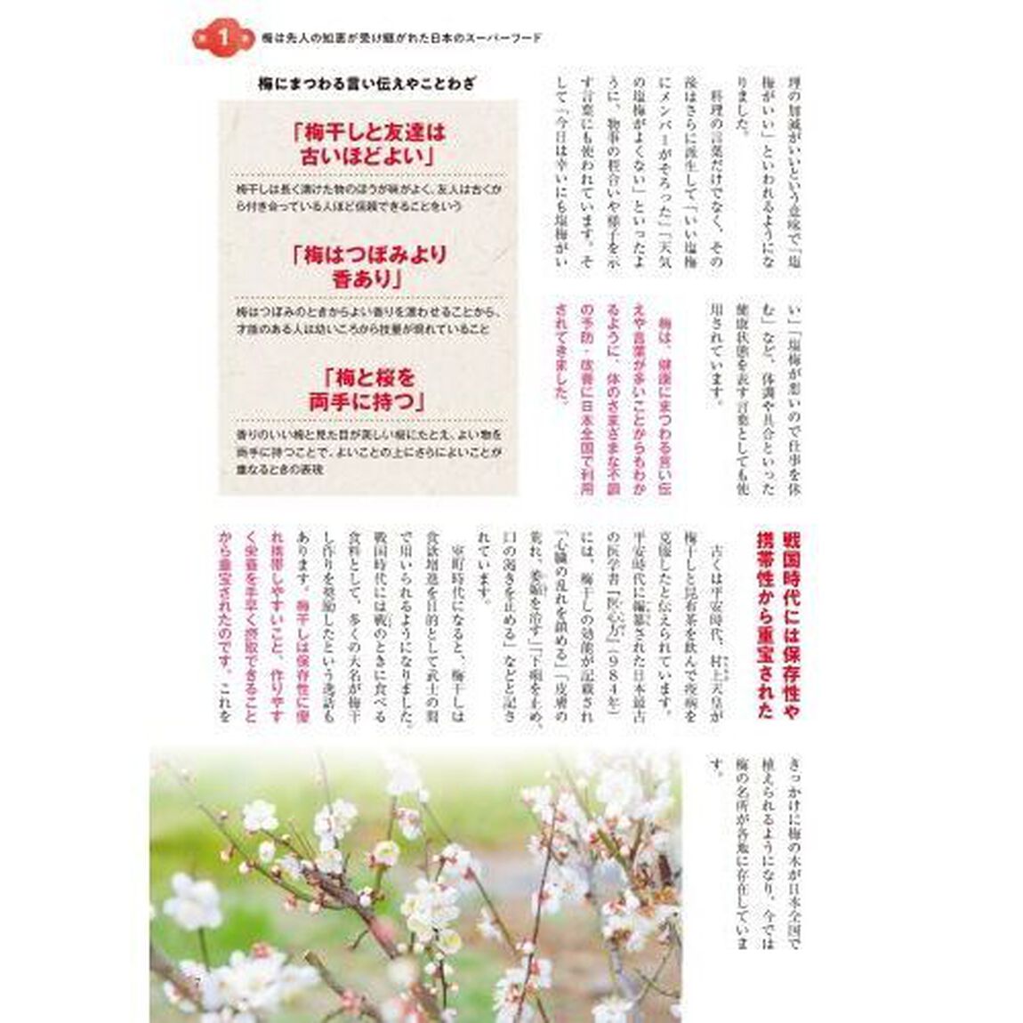 梅・梅干し・梅しごと大学教授が教えるすごい食べ方大全　悩みの不調別梅レシピ最もいい食べ方事典