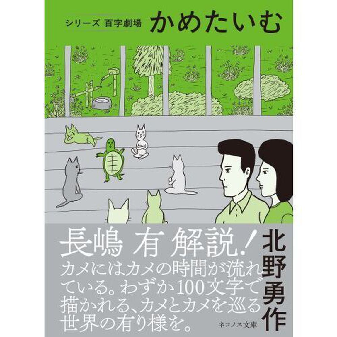 かめたいむ