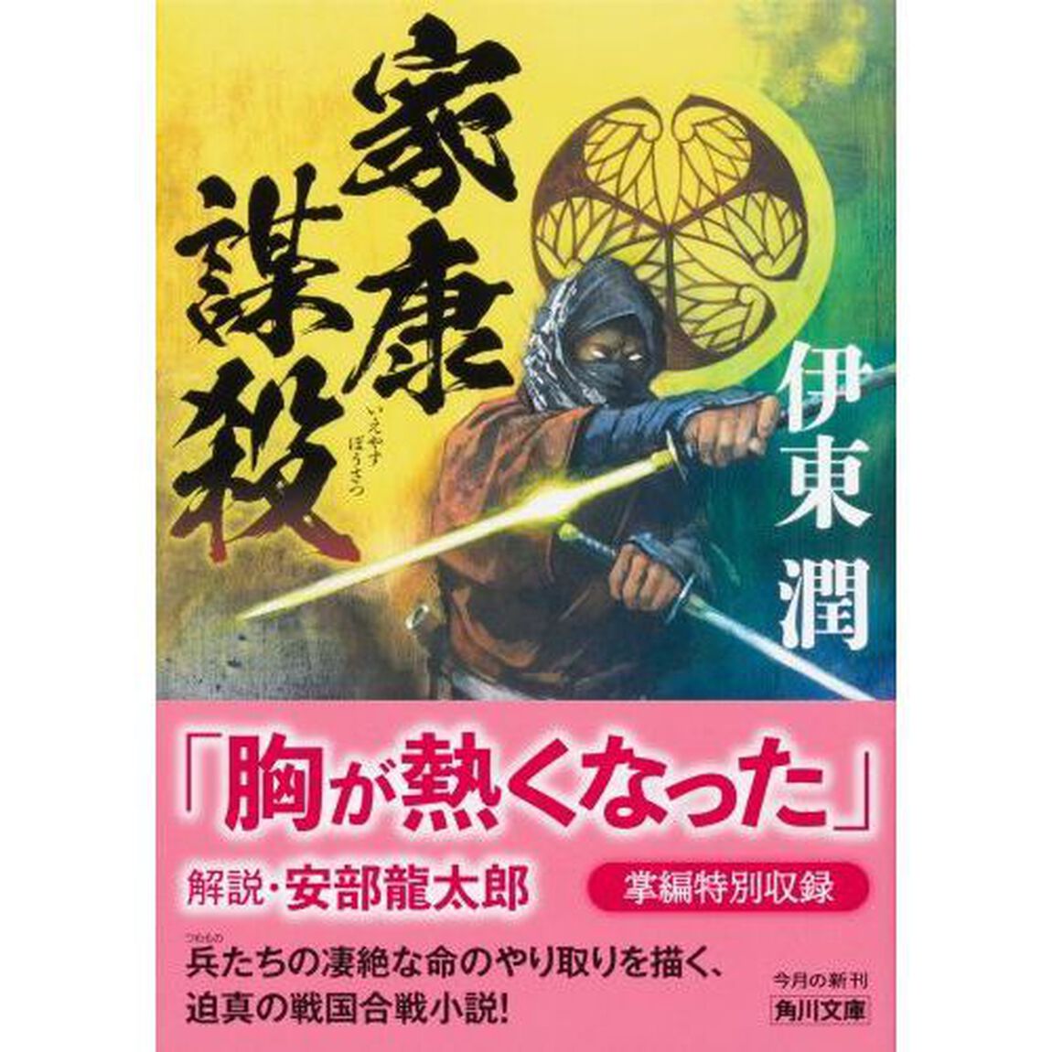 家康謀殺