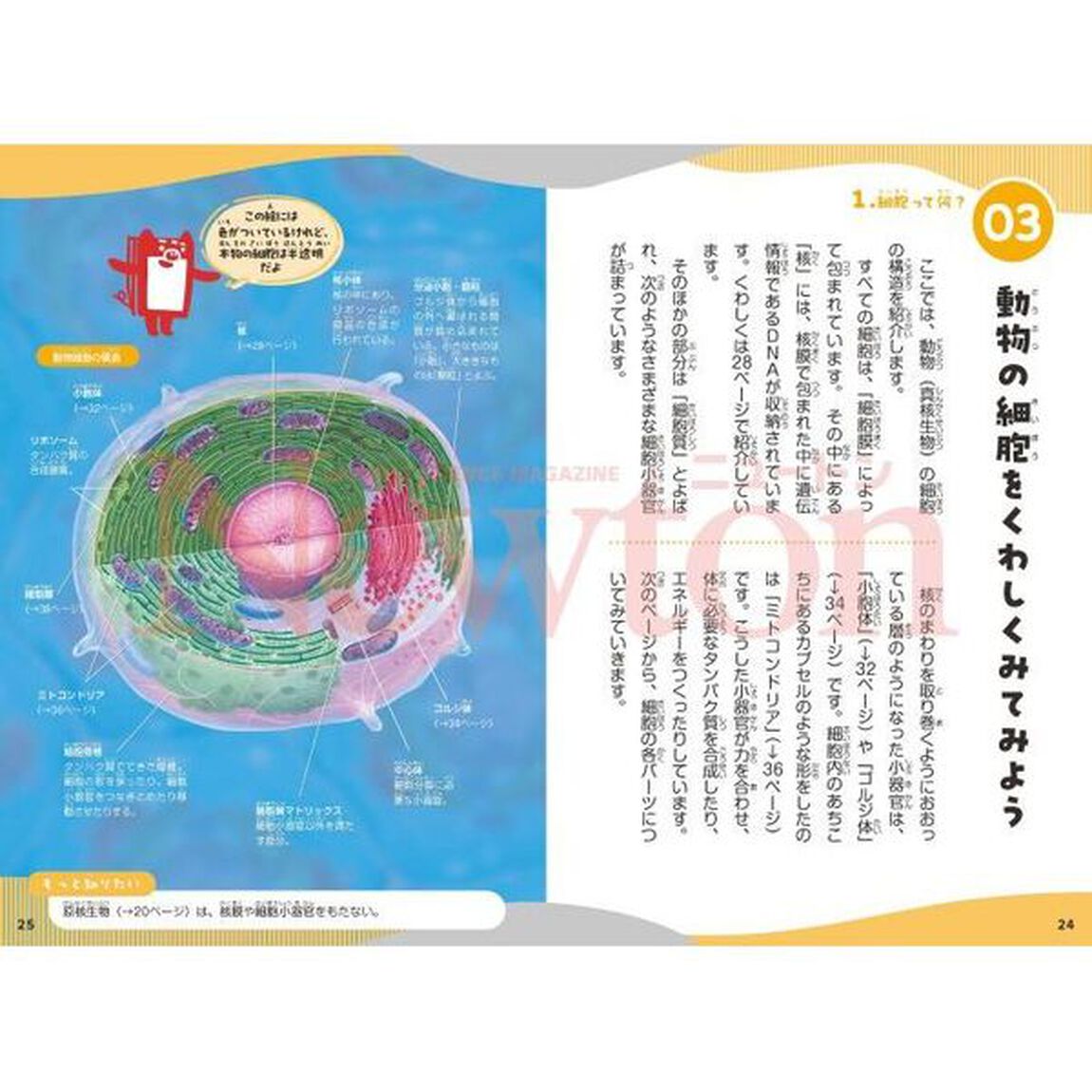 細胞の学校