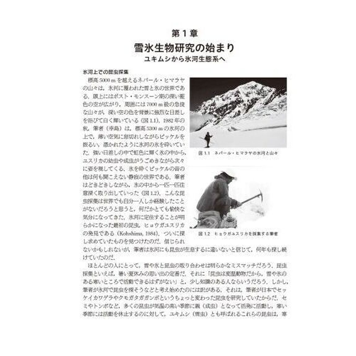 雪と氷にすむ生きものたち　雪氷生態学への招待