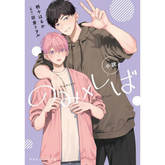 小説のみ&times;しば