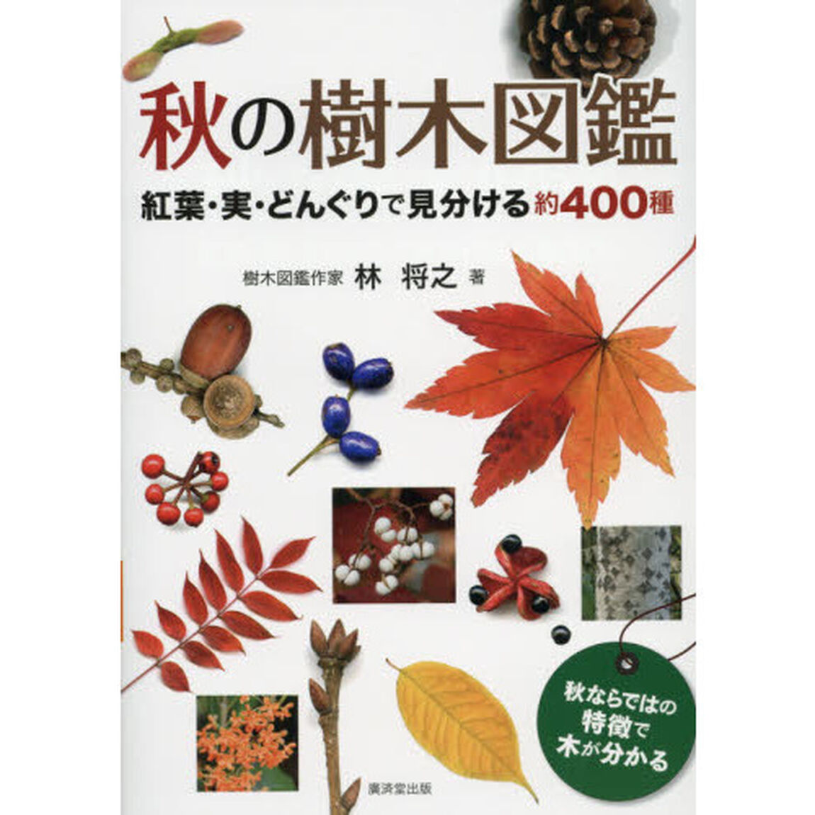 秋の樹木図鑑　紅葉・実・どんぐりで見分ける約４００種