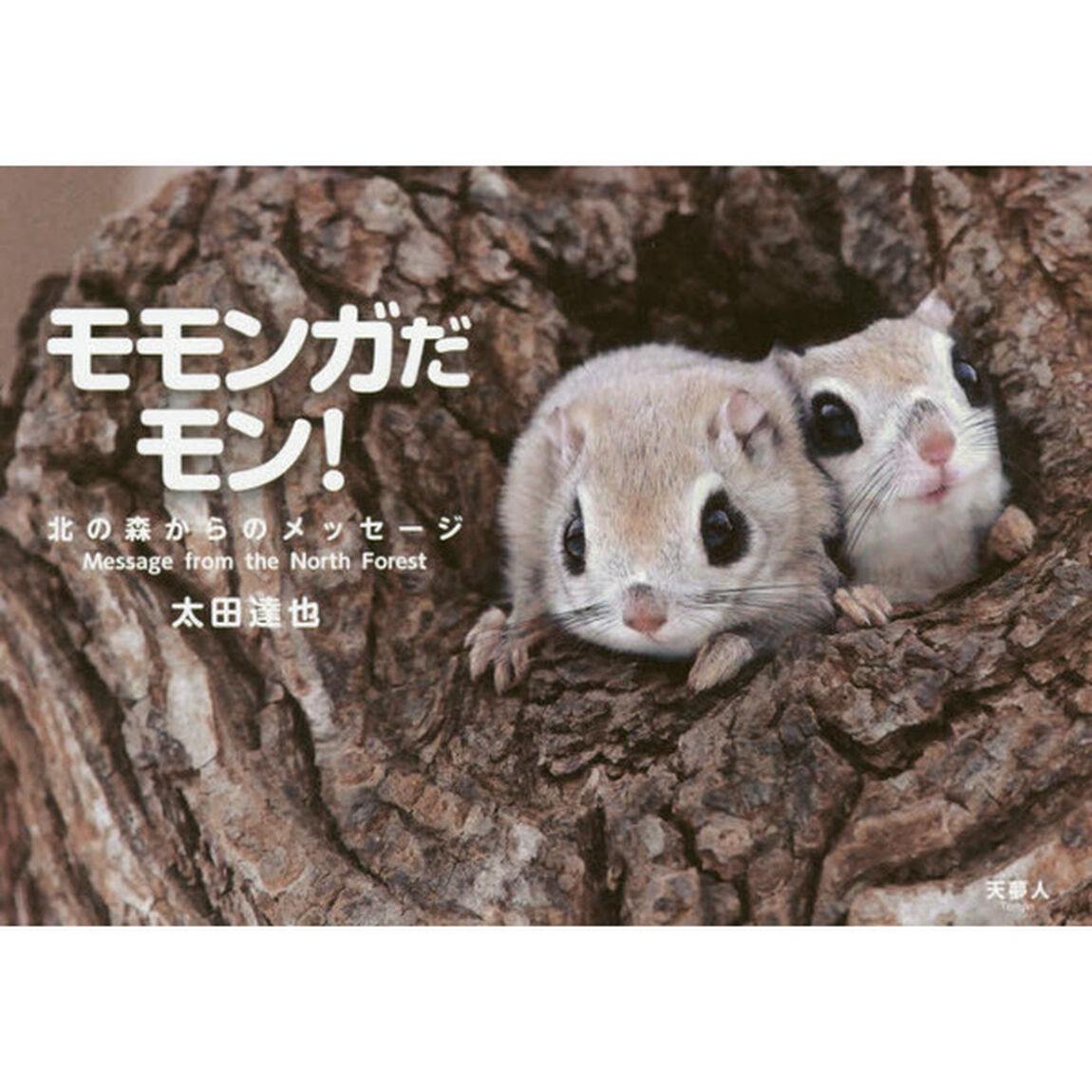モモンガだモン！　北の森からのメッセージ