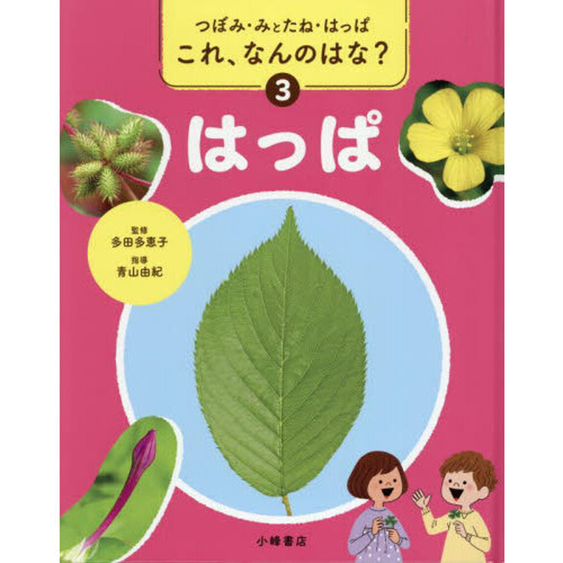 これ、なんのはな？　つぼみ・みとたね・はっぱ　３「はっぱ」