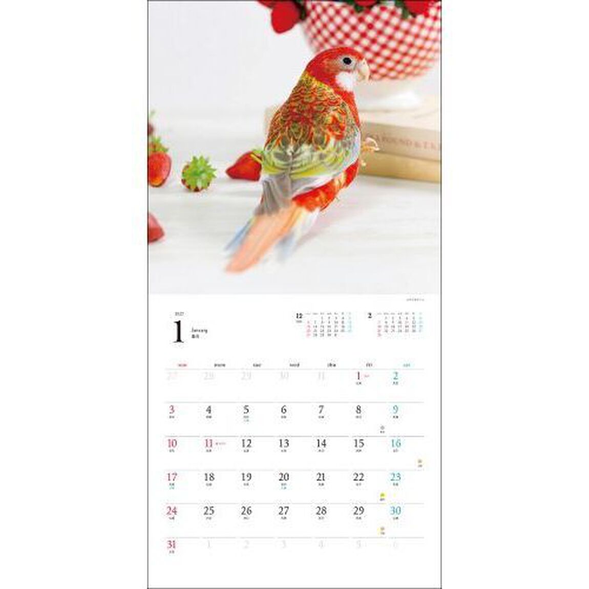 2027年カレンダー 鳥と暮らす インコ＆オウム