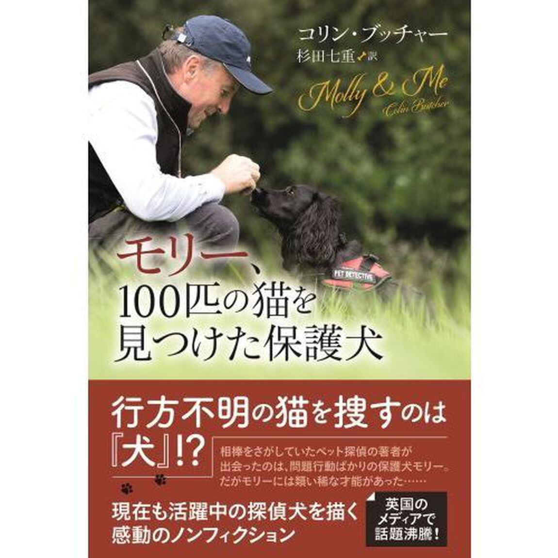 モリー、１００匹の猫を見つけた保護犬