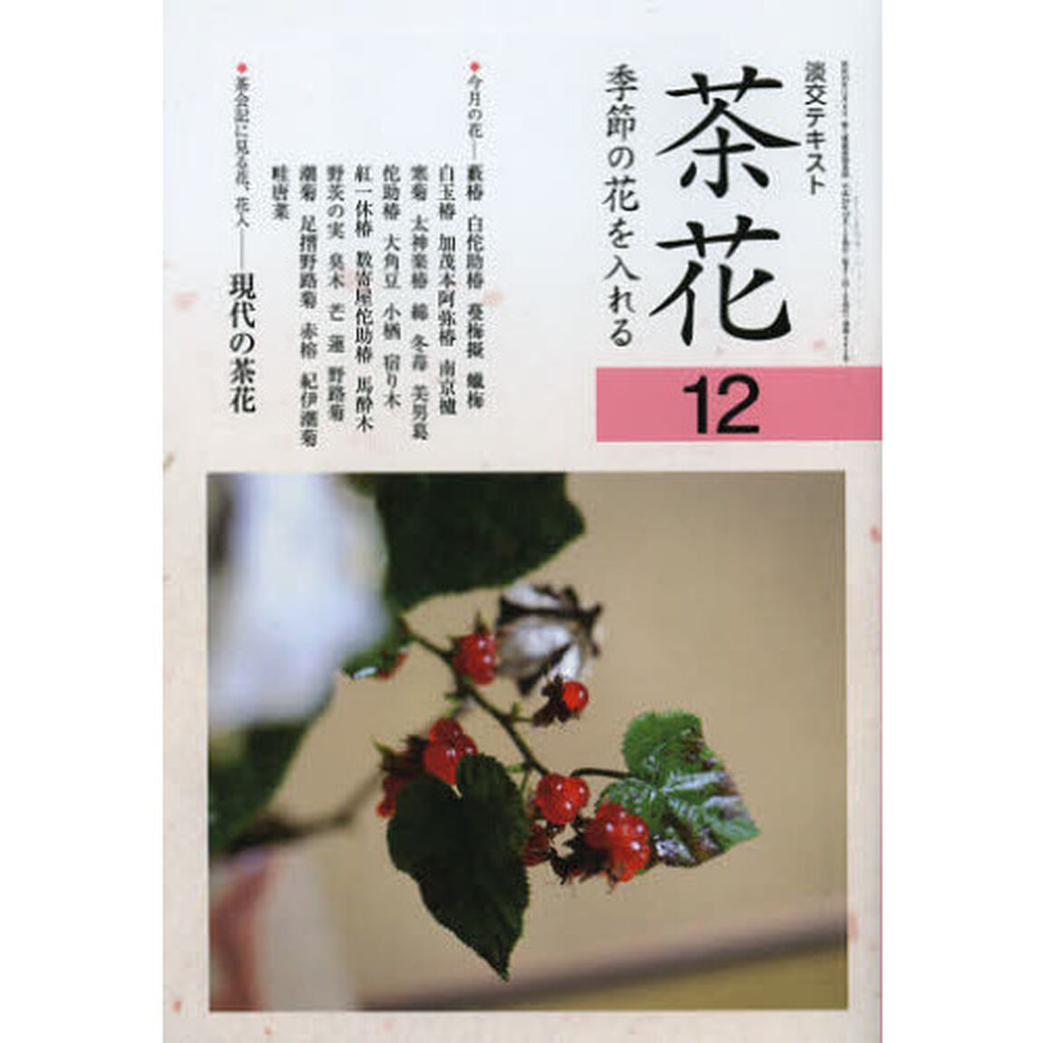 淡交テキスト　〔平成２４年〕１２号「茶花　１２」