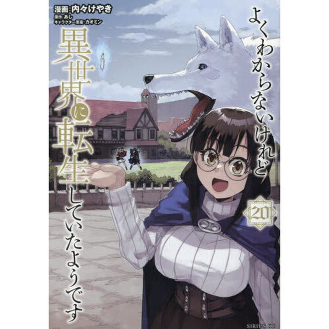 よくわからないけれど異世界に転生していたようです 20