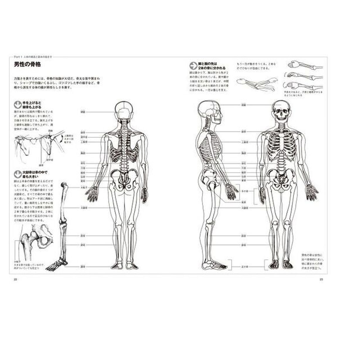 基本はかんたん人物画