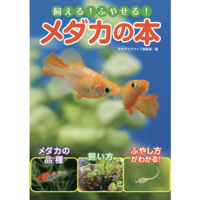 飼える！ふやせる！メダカの本