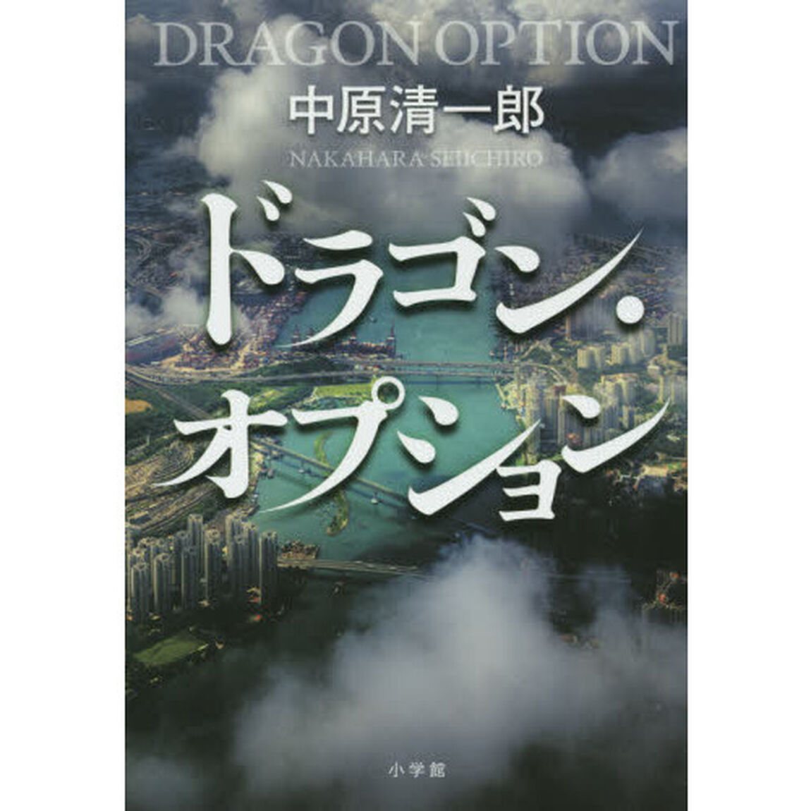 ドラゴン・オプション