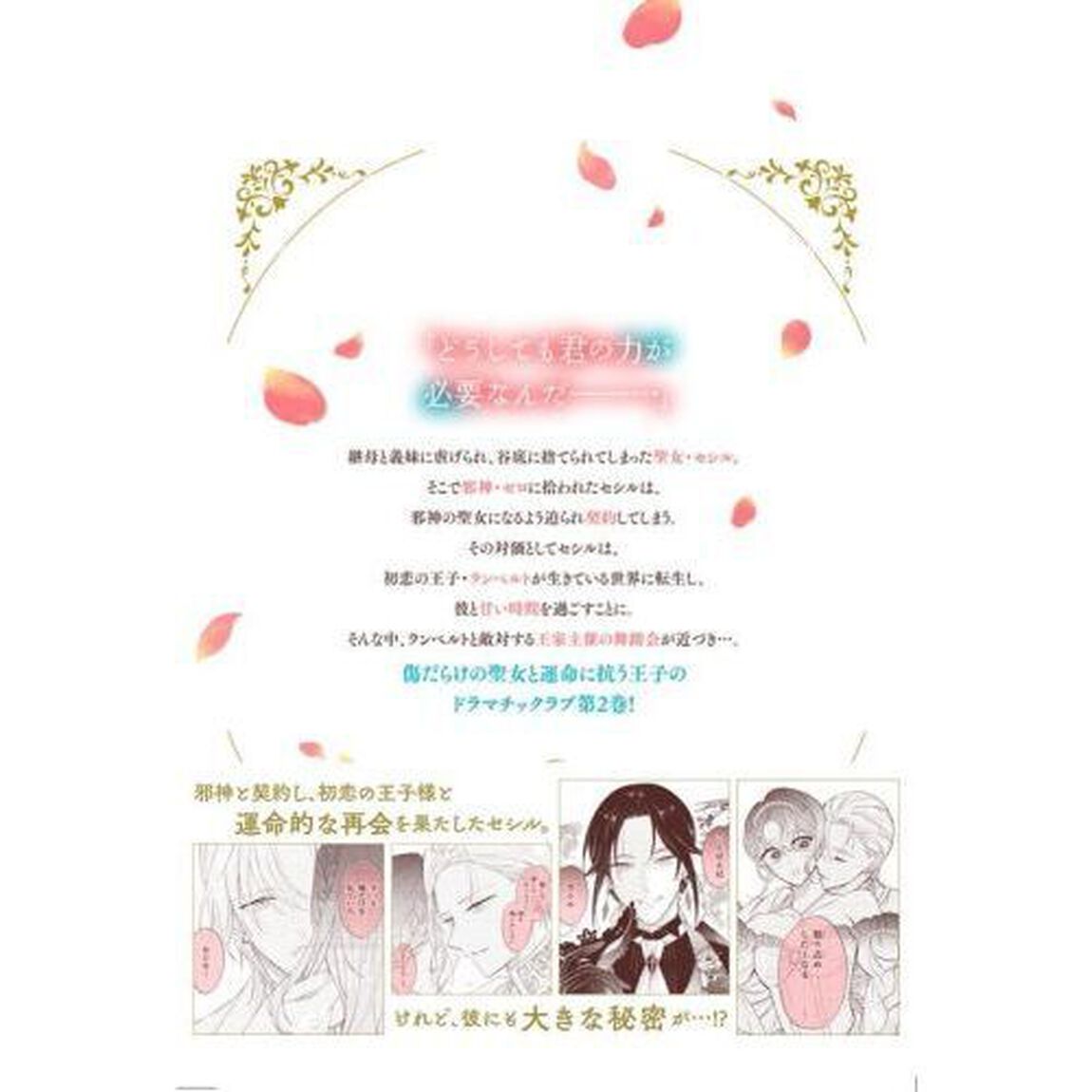 邪神に拾われた聖女が、もう一度初恋を取り戻すまで　２