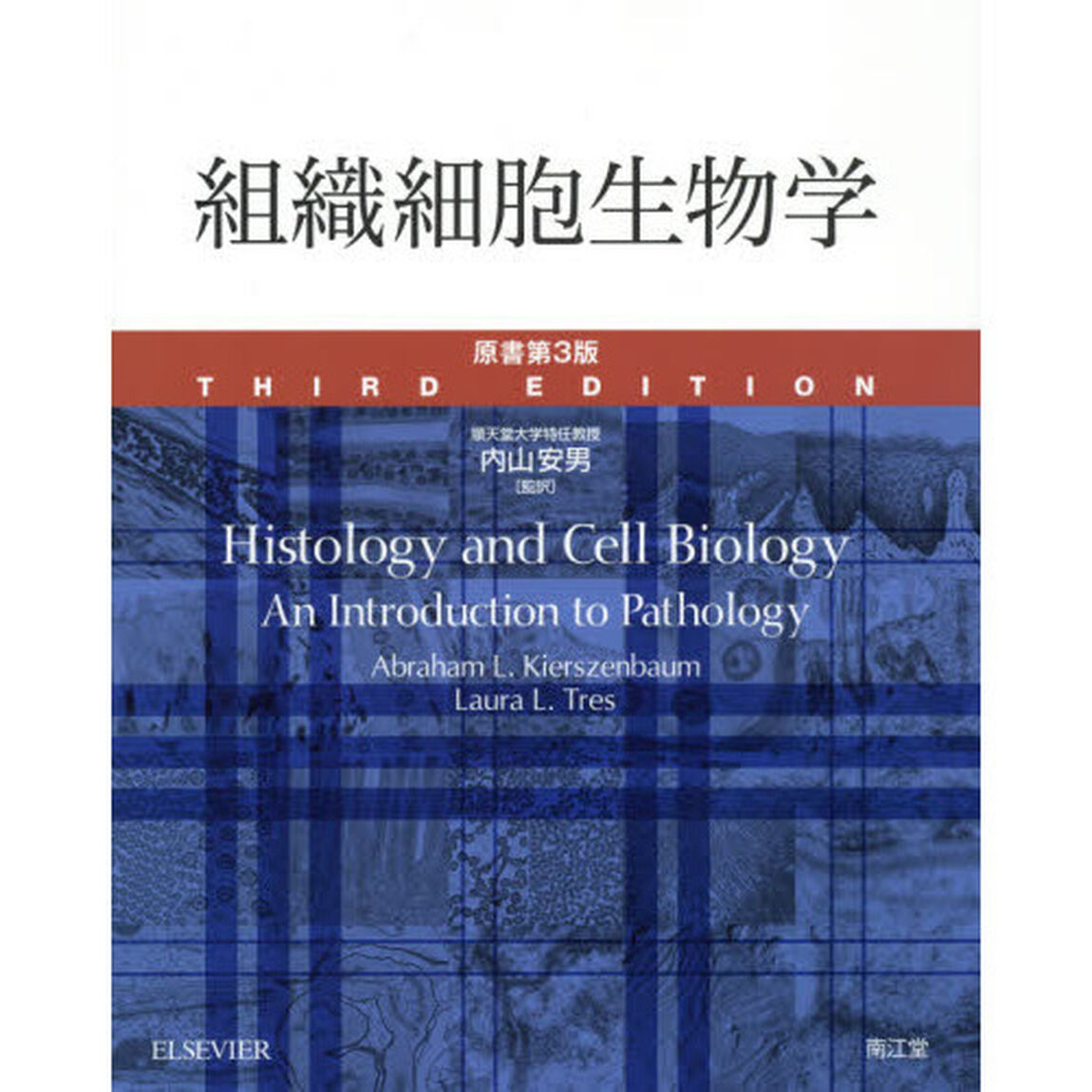 組織細胞生物学