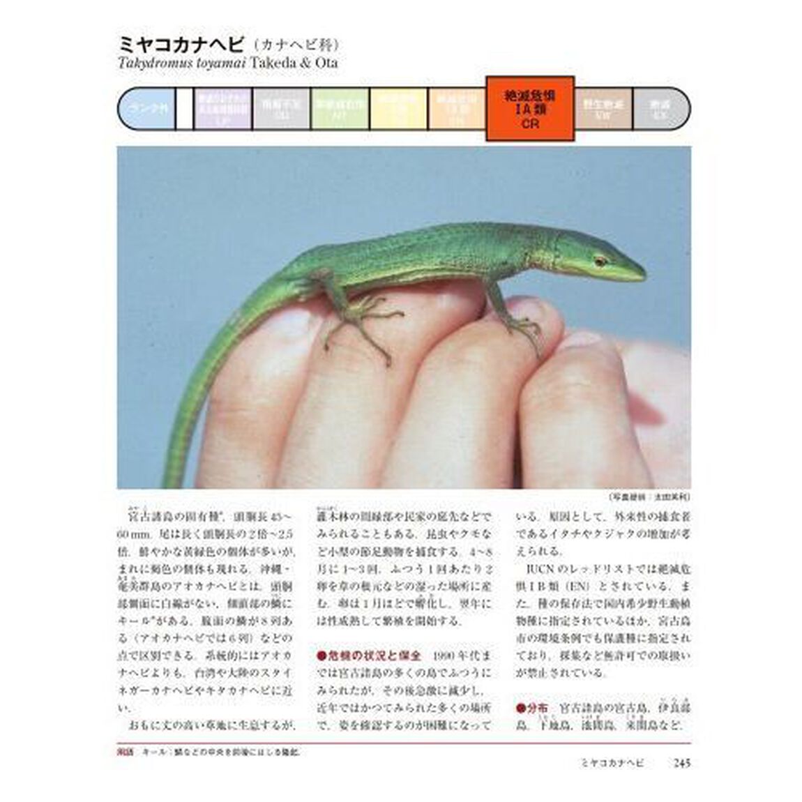 日本の絶滅危惧生物図鑑　環境省レッドリスト