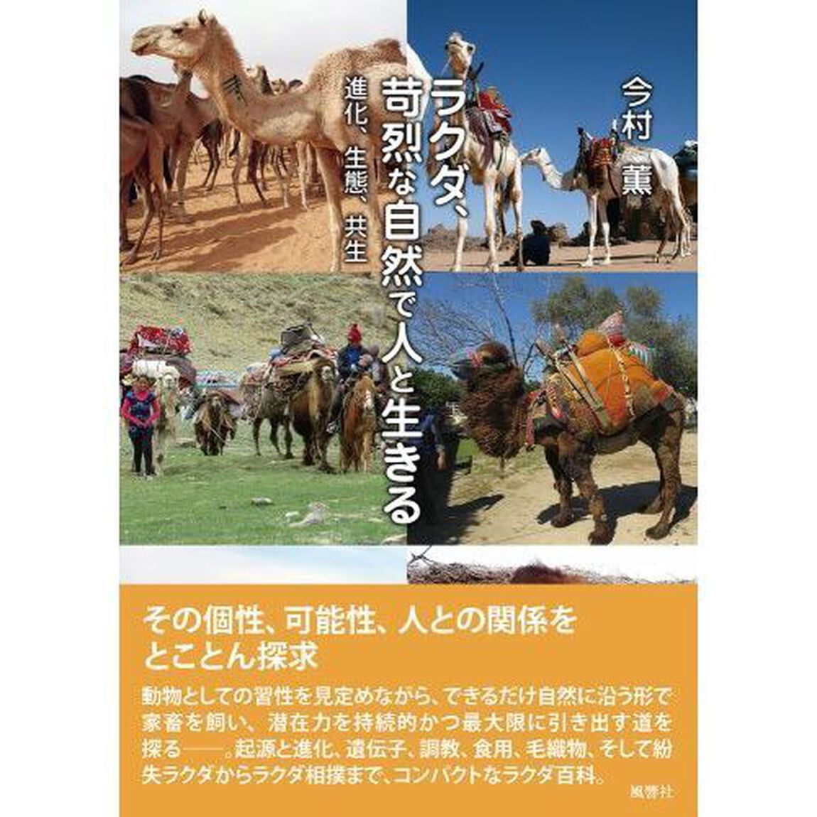 ラクダ、苛烈な自然で人と生きる　進化、生態、共生
