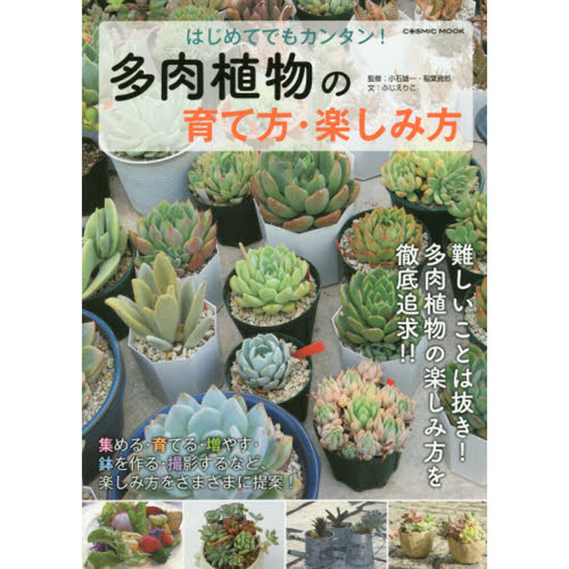 はじめてでもカンタン！多肉植物の育て方・楽しみ方