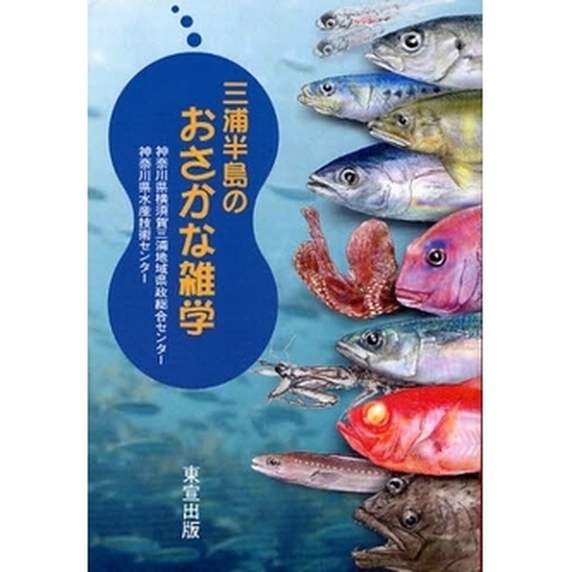 三浦半島のおさかな雑学