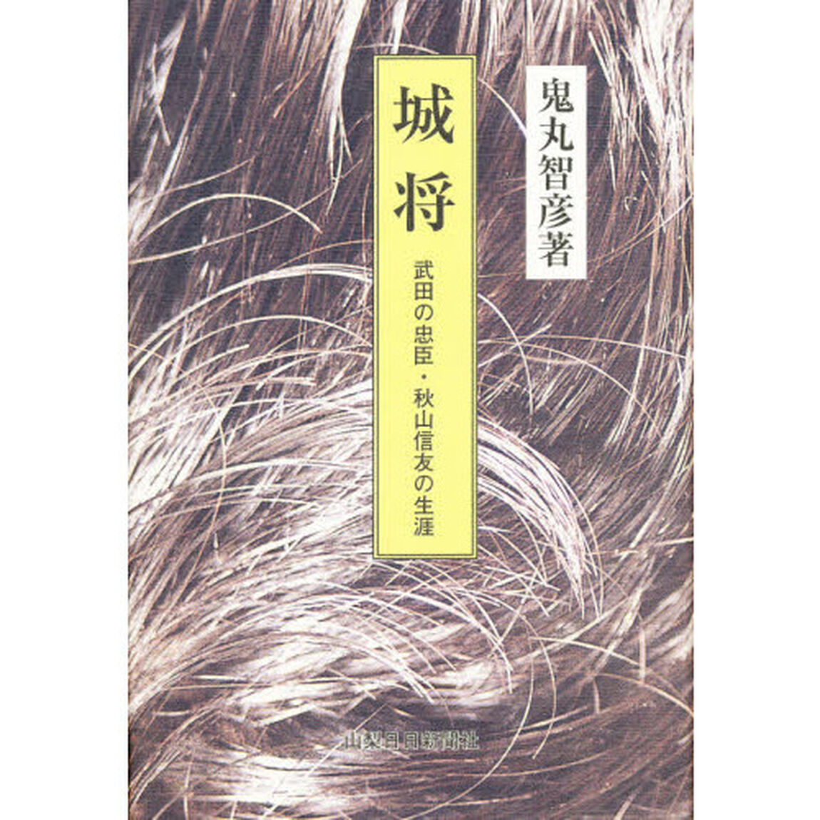 城将　武田の忠臣・秋山信友の生涯