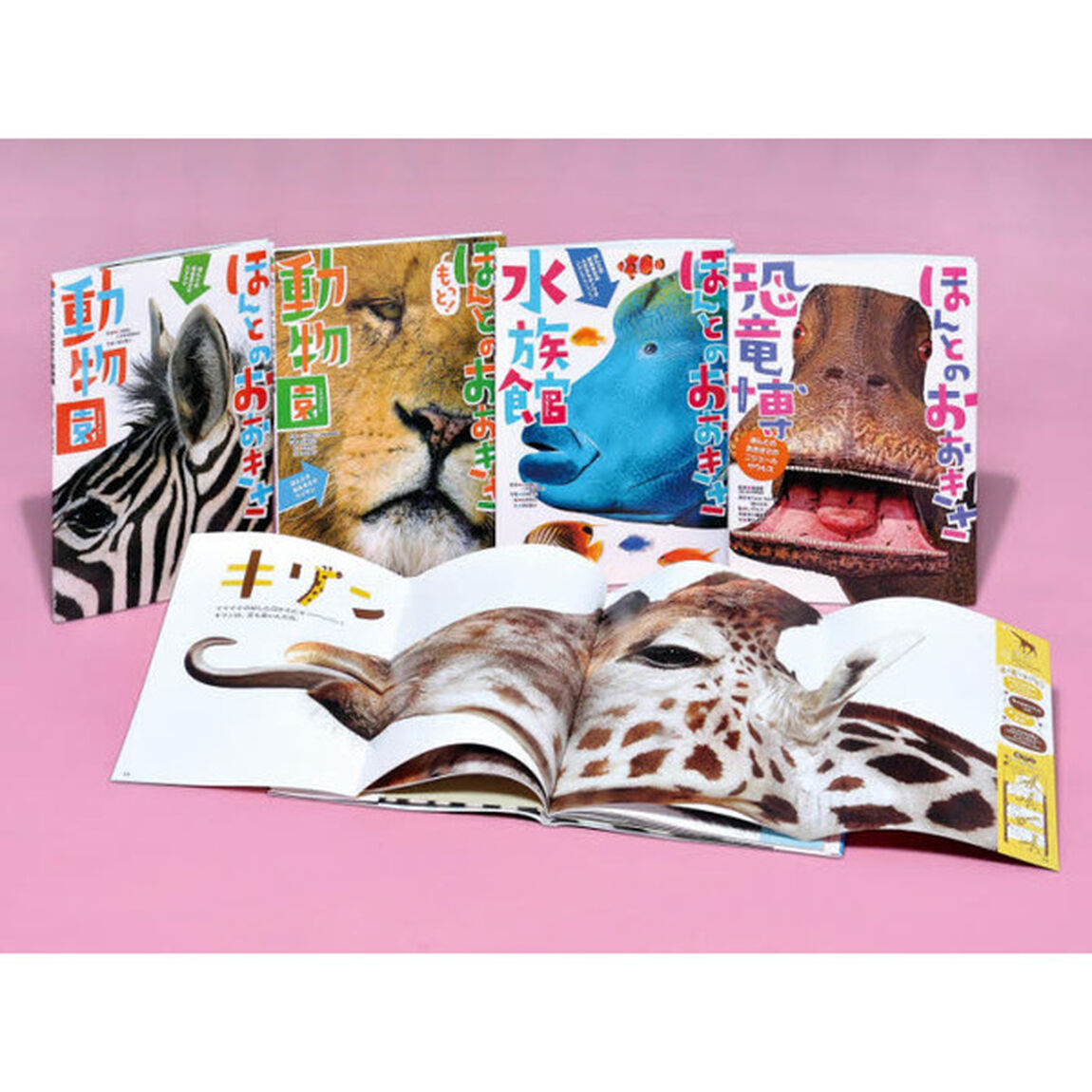 ほんとのおおきさ　４巻セット