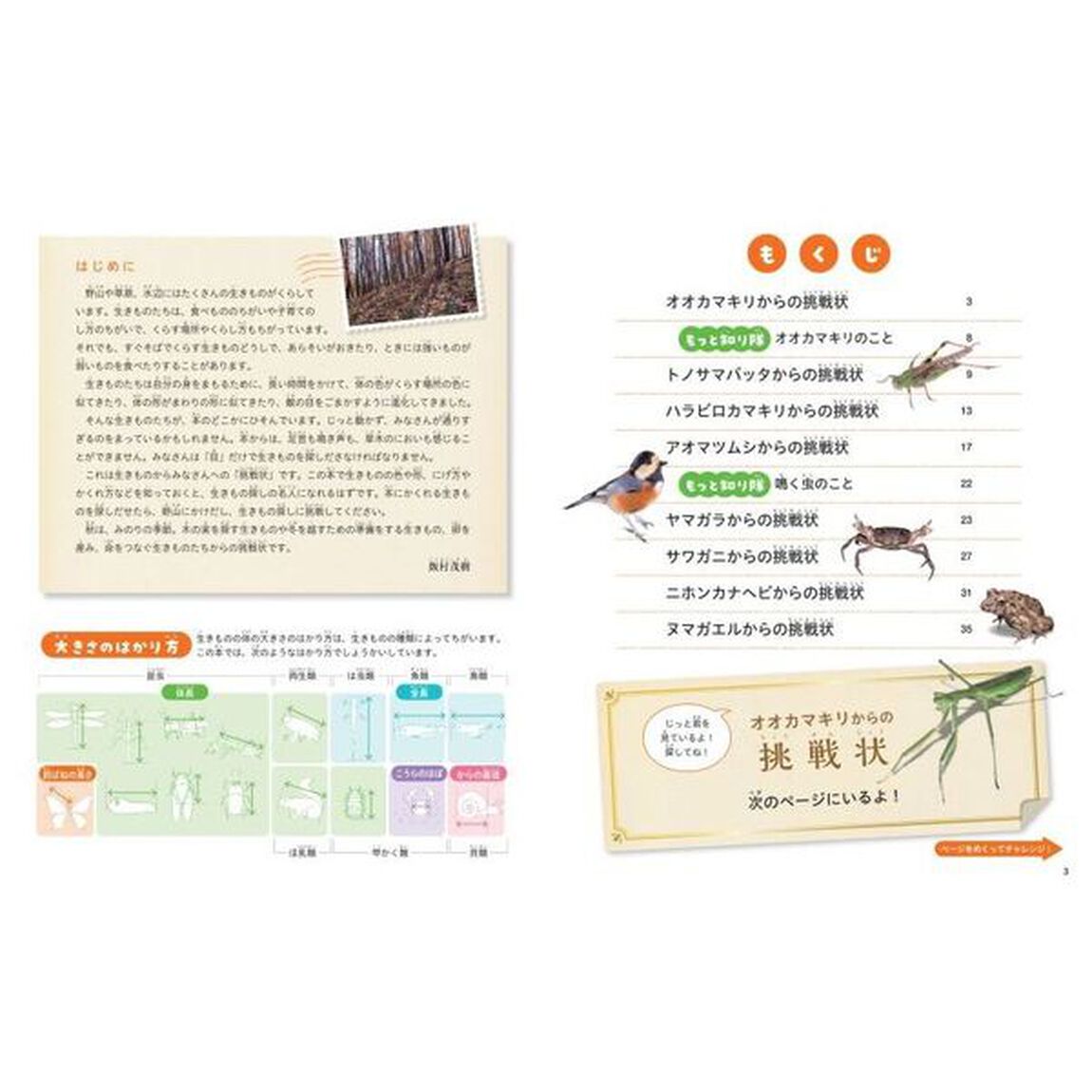みーつけた！生きものからの挑戦状　〔３〕「秋の生きものをさがせ！」