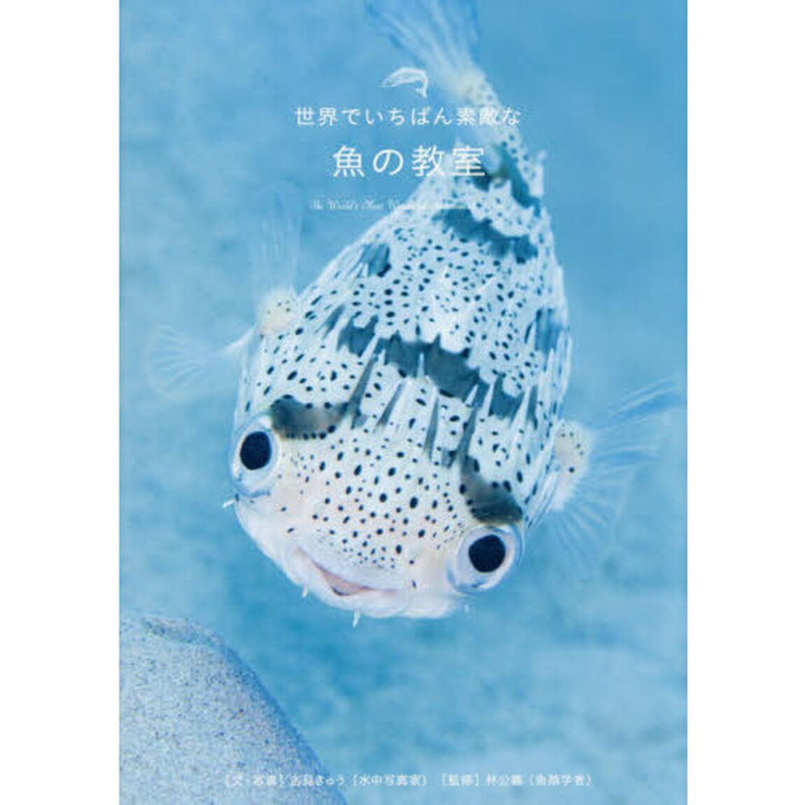 世界でいちばん素敵な魚の教室