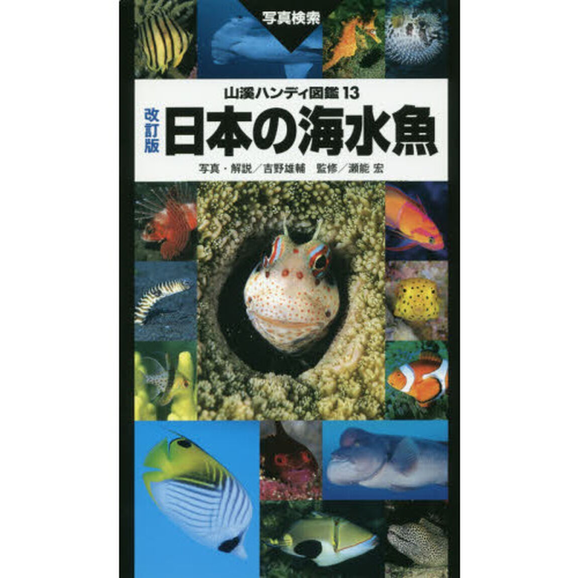 日本の海水魚　写真検索「改訂版」