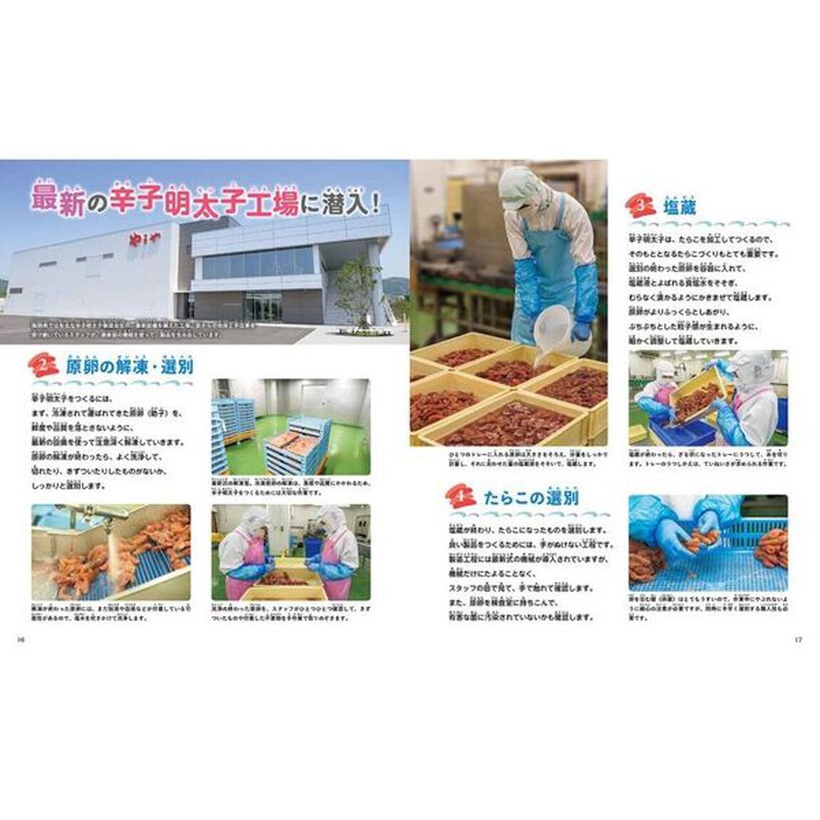 海からいただく日本のおかず　３「魚卵　魚介類の塩蔵品」