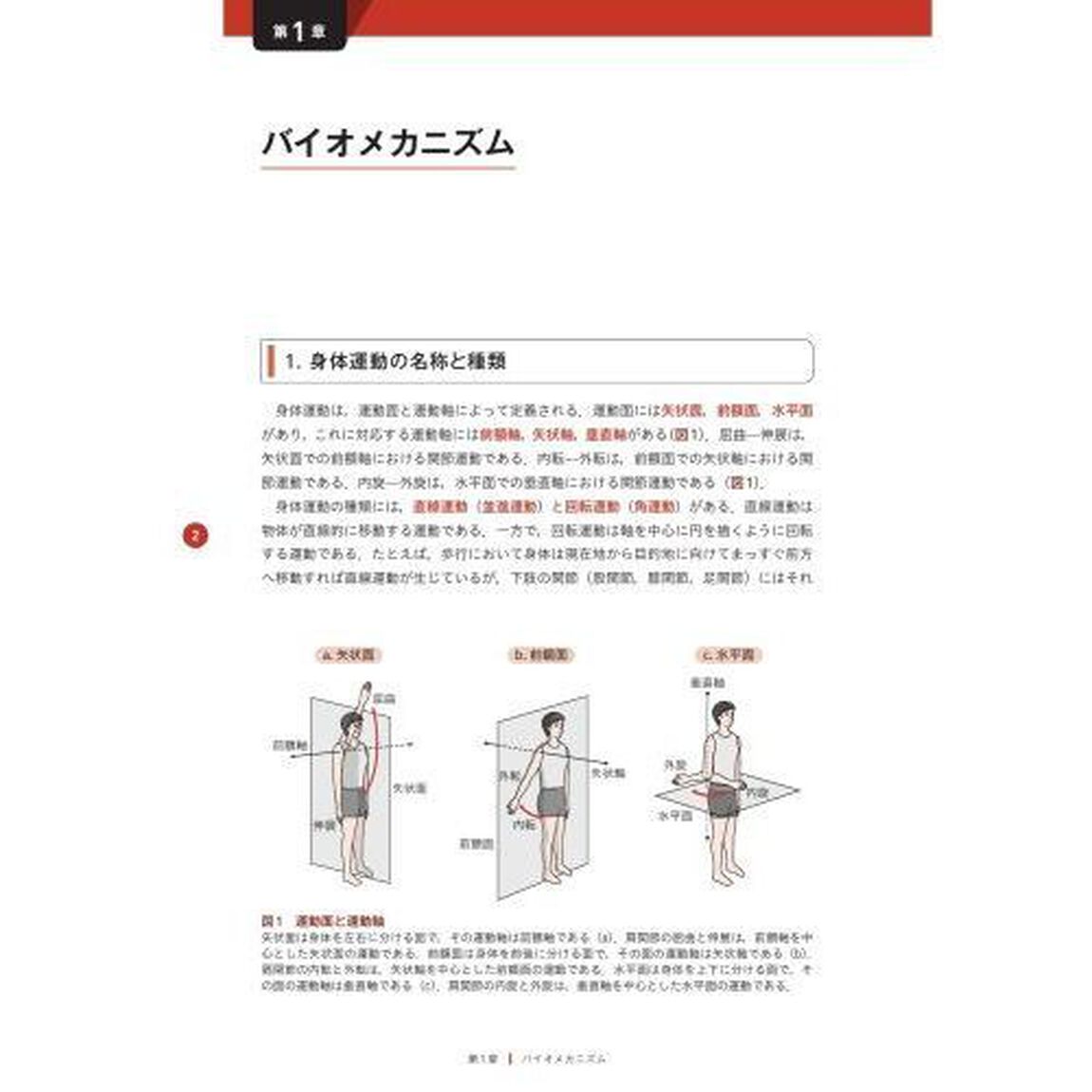 歩行獲得に向けた理学療法学的治療アプローチ　１４３のｗｅｂ動画付