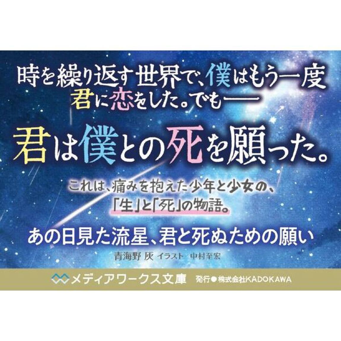 あの日見た流星、君と死ぬための願い