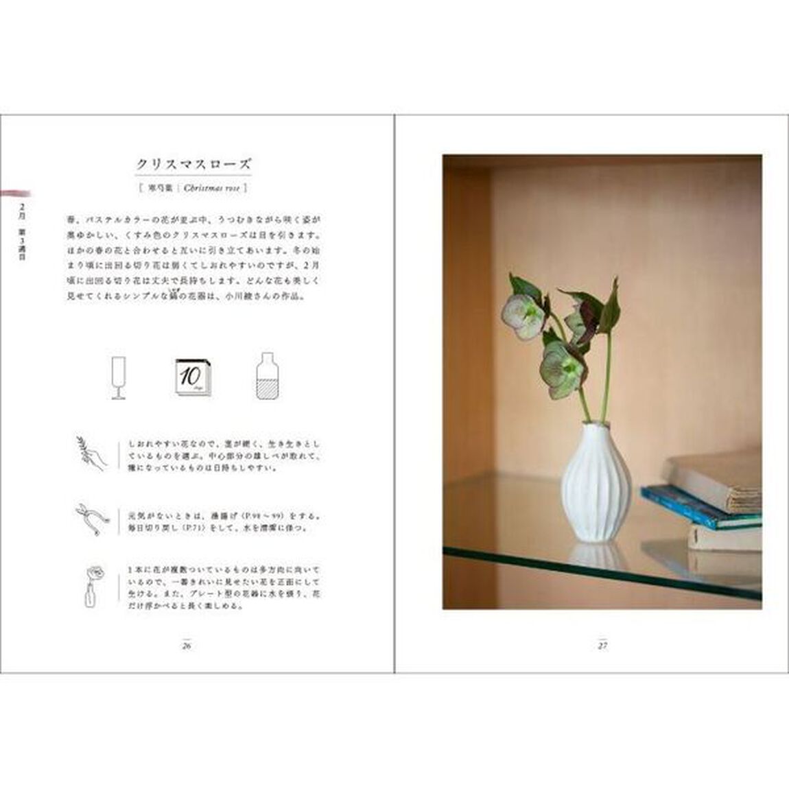 毎日、一輪。　はじめて花・葉・枝を生ける人のための手引帖。