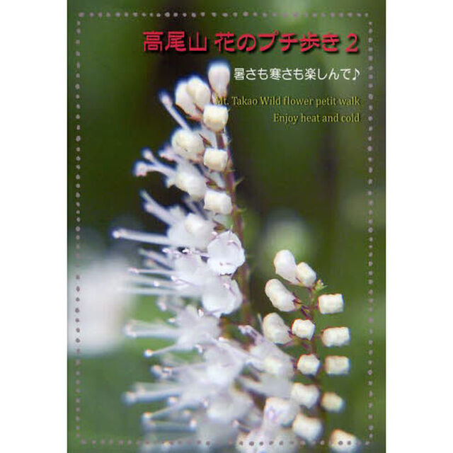 高尾山 花のプチ歩き2「暑さも寒さも楽しんで♪」