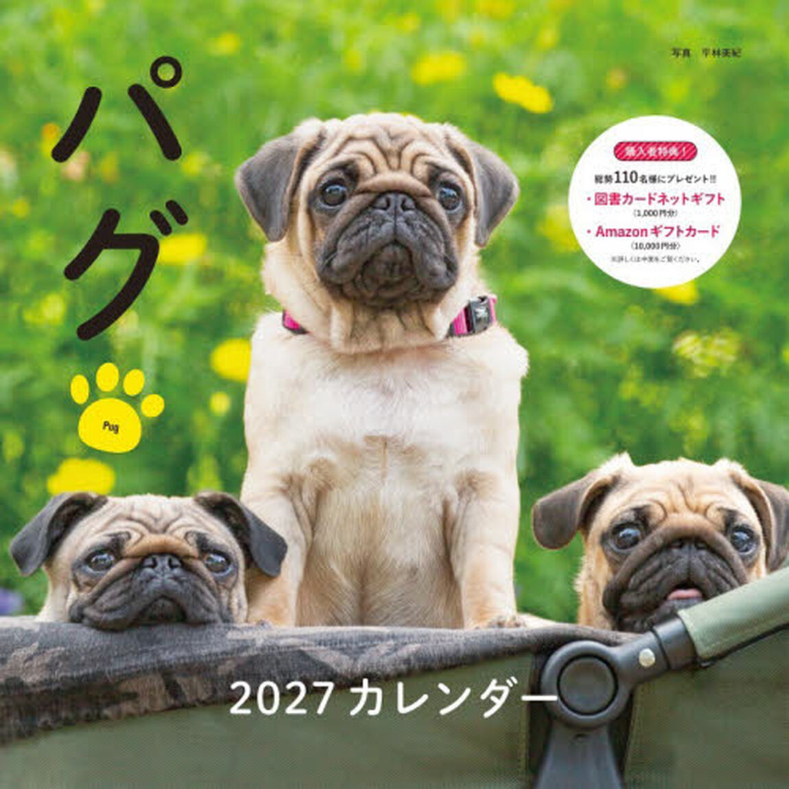 &rsquo;２７　カレンダーパグ