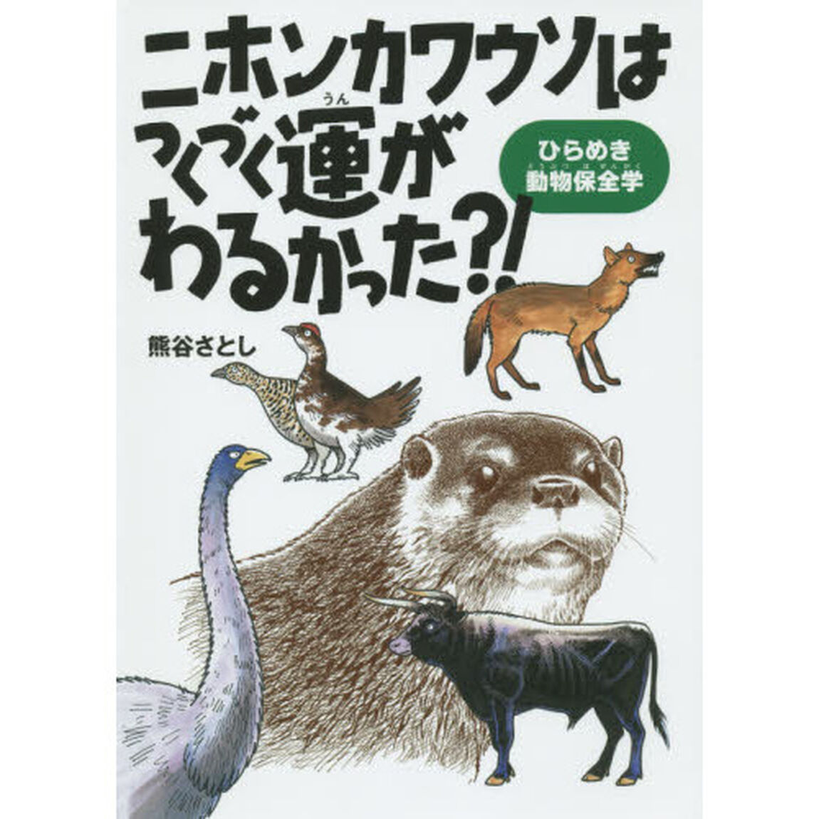 ニホンカワウソはつくづく運がわるかった？！　ひらめき動物保全学