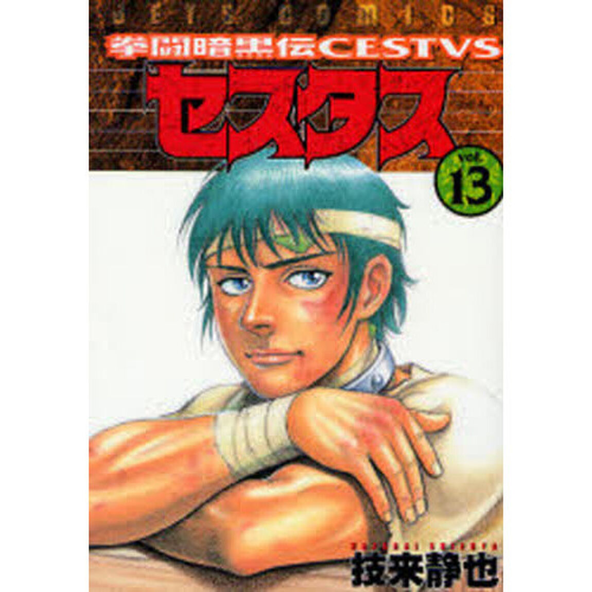 拳闘暗黒伝セスタス　　１３
