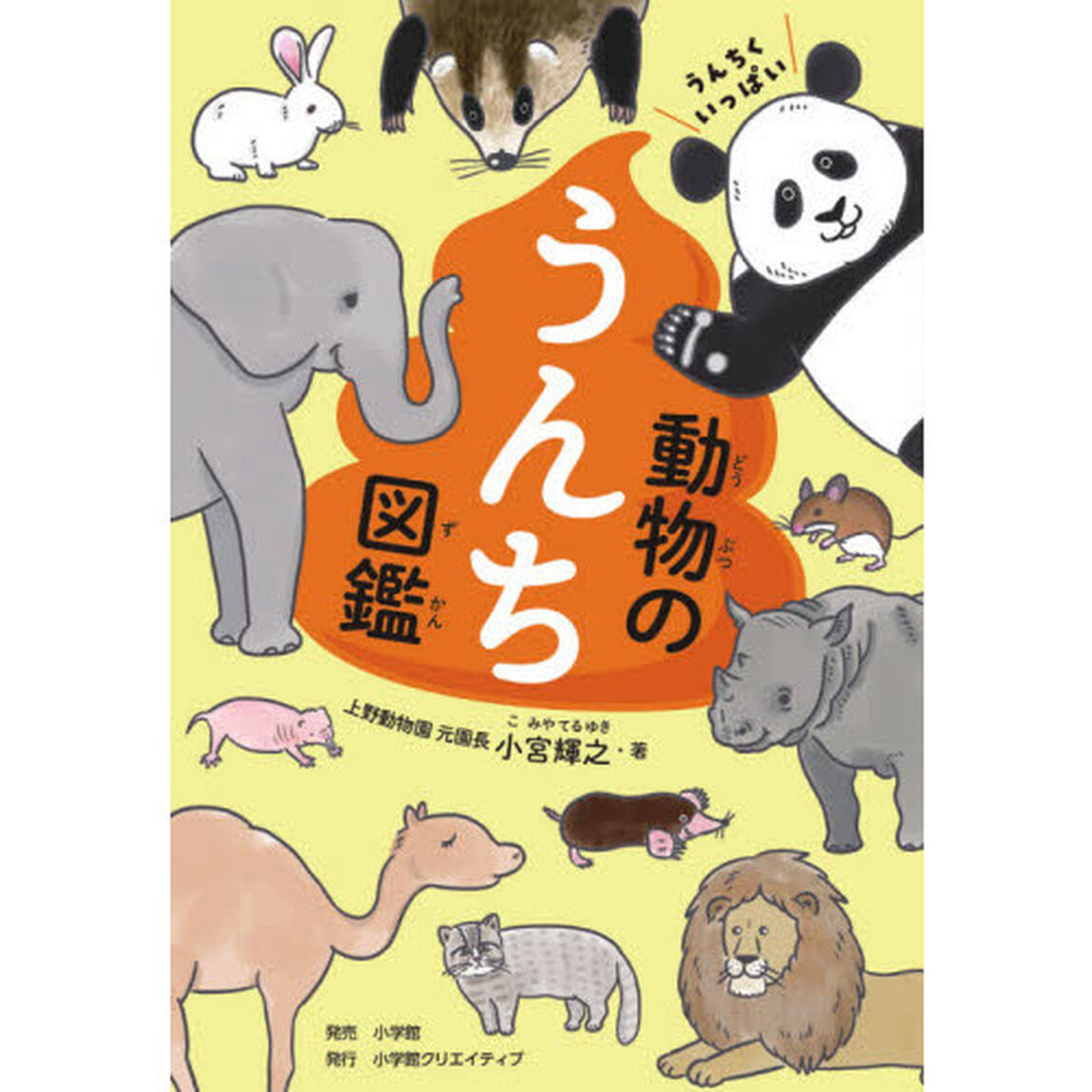うんちくいっぱい動物のうんち図鑑