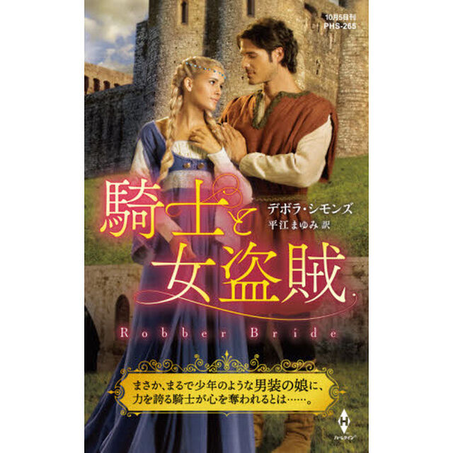 騎士と女盗賊