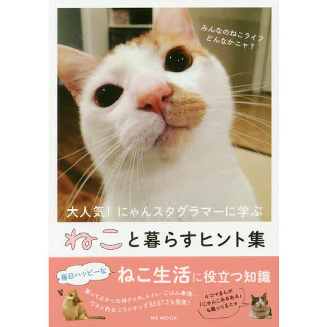 ねこと暮らすヒント集　大人気！にゃんスタグラマーに学ぶ